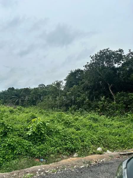 Residential Land for Sale in Kampung Baru Machap (Simpang Renggam) - Alexius Lim - Exterior - PropertyGuru.com.my