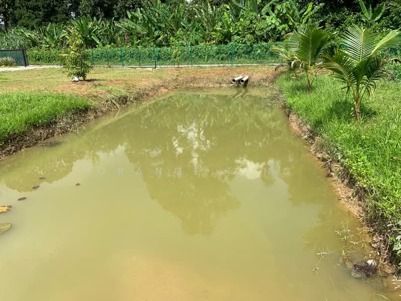 Tanah Pertanian untuk Dijual di Ulu Yam (Selangor) - Orange Tang - Garden - PropertyGuru.com.my