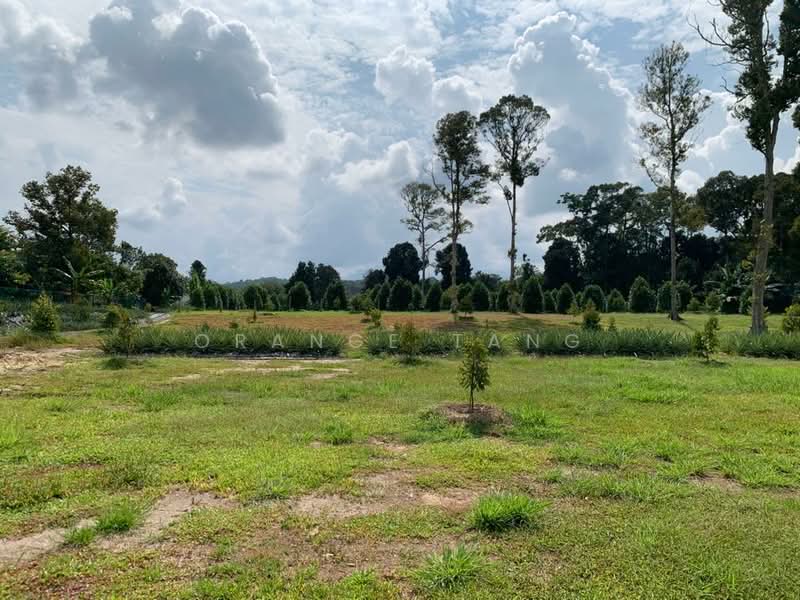Tanah Pertanian untuk Dijual di Ulu Yam (Selangor) - Orange Tang - Exterior - PropertyGuru.com.my