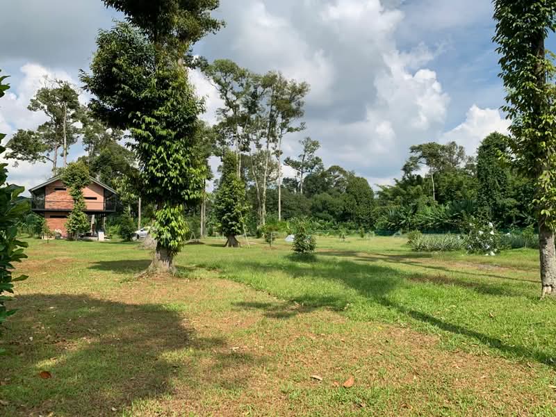 Tanah Pertanian untuk Dijual di Ulu Yam (Selangor) - Orange Tang - PropertyGuru.com.my