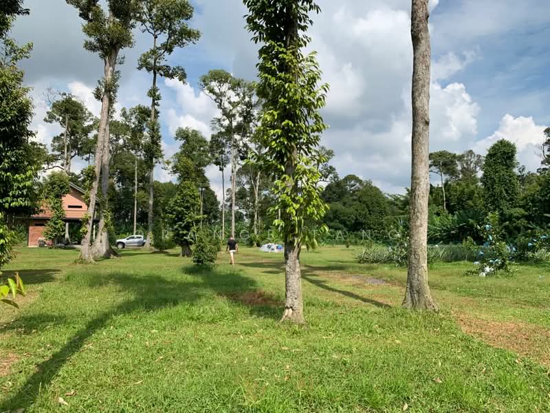 Tanah Pertanian untuk Dijual di Ulu Yam (Selangor) - Orange Tang - PropertyGuru.com.my