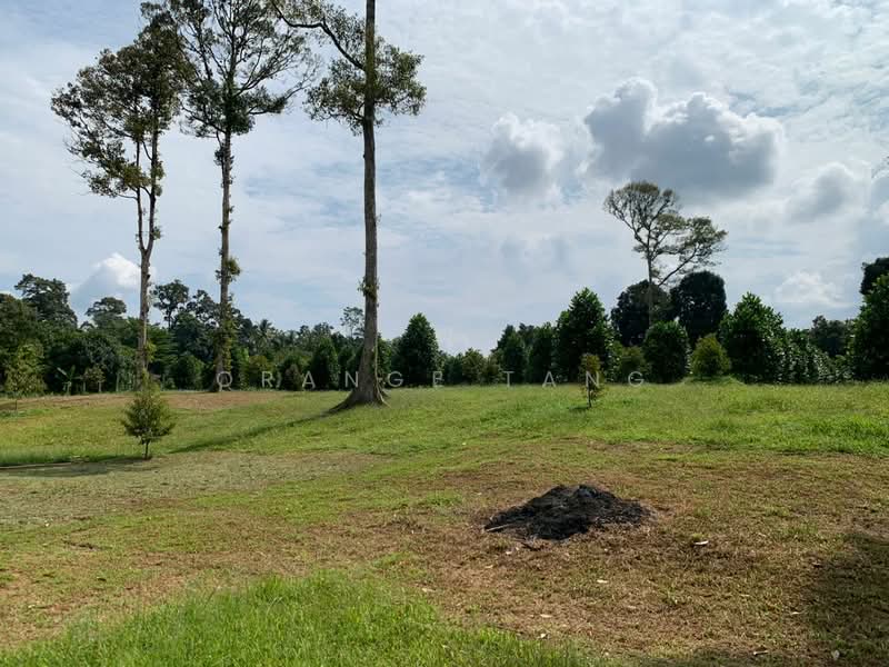Tanah Pertanian untuk Dijual di Ulu Yam (Selangor) - Orange Tang - PropertyGuru.com.my