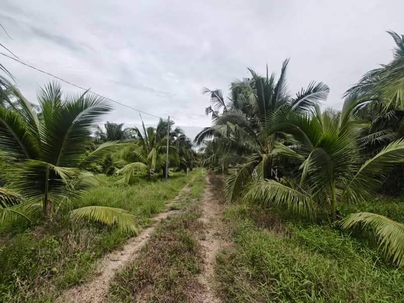 Agricultural Land for Sale in Kukup (Johor) - Jessie Tan - Exterior - PropertyGuru.com.my