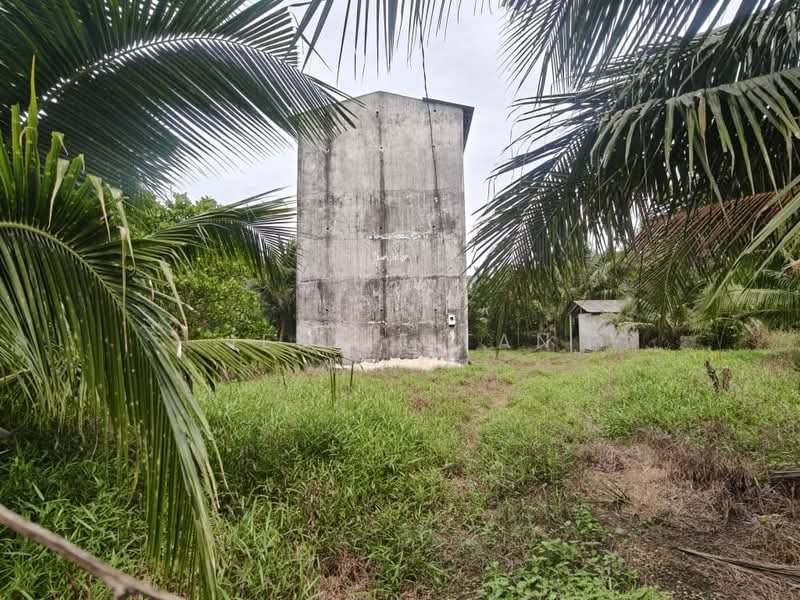 Agricultural Land for Sale in Kukup (Johor) - Jessie Tan - Exterior - PropertyGuru.com.my