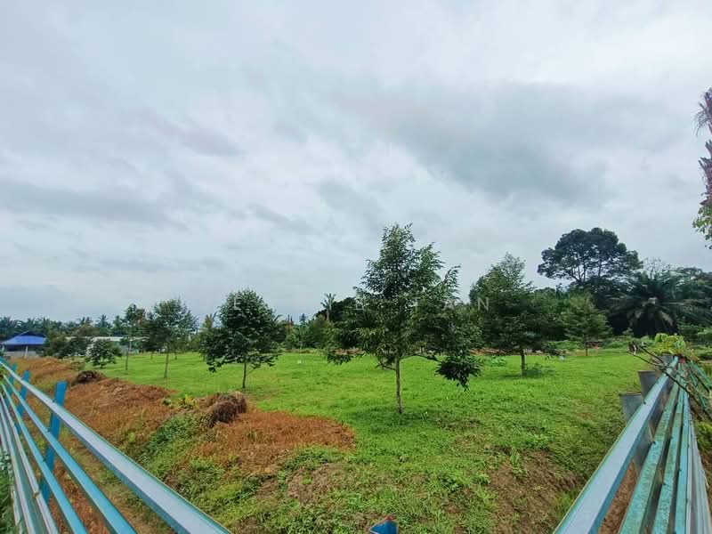 Agricultural Land for Sale in Kukup (Johor) - Jessie Tan - Garden - PropertyGuru.com.my