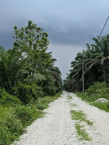 Agricultural Land for Sale in Kota Tinggi (Johor) - Jessie Tan - Exterior - PropertyGuru.com.my