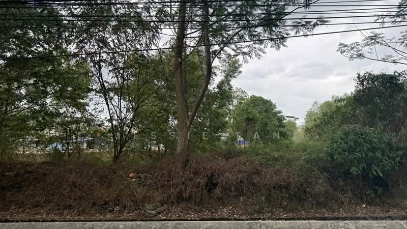 Tanah Perindustrian untuk Dijual di Tampoi (Johor) - Jessie Tan - Exterior - PropertyGuru.com.my