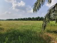 For Sale - Simpang Renggam