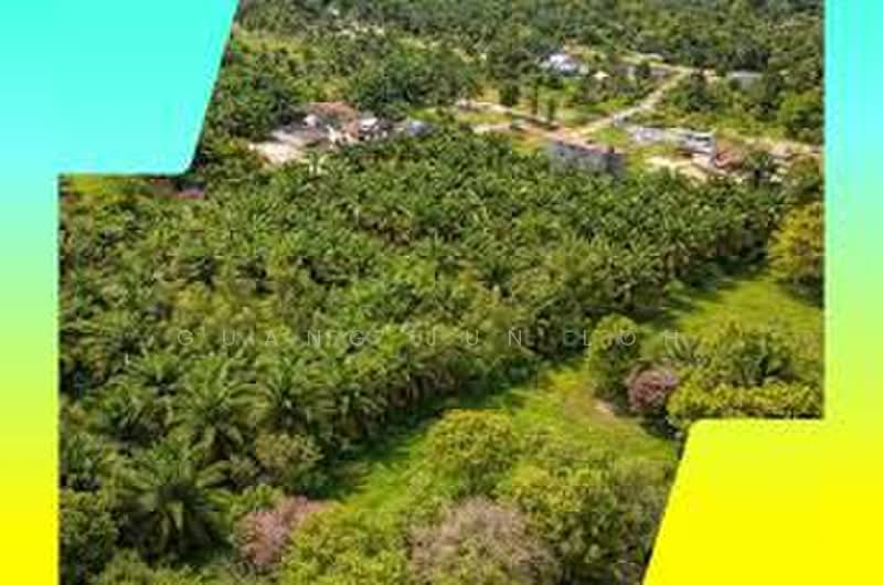 Tanah Pertanian untuk Dijual di Kampung Baru Ban Foo (Ulu Tiram) - Guang Jun Loh - PropertyGuru.com.my
