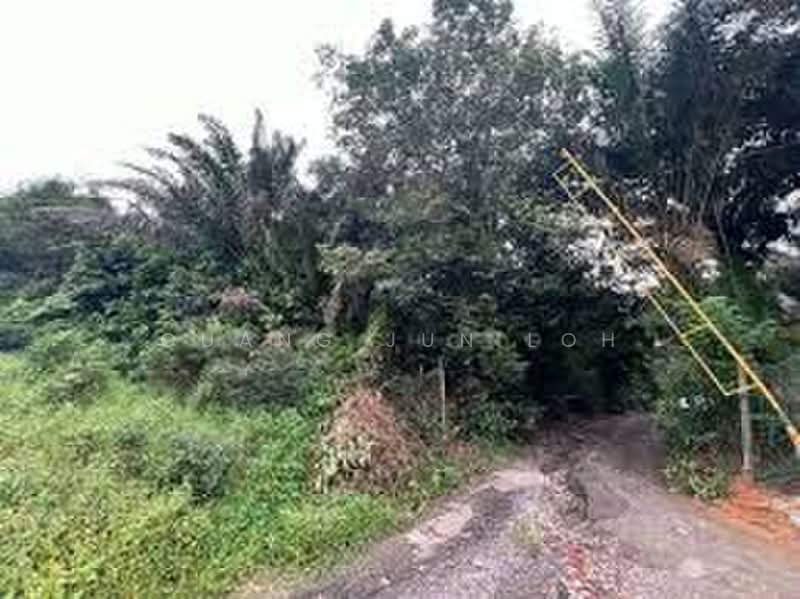 Tanah Pertanian untuk Dijual di Kampung Baru Ban Foo (Ulu Tiram) - Guang Jun Loh - PropertyGuru.com.my