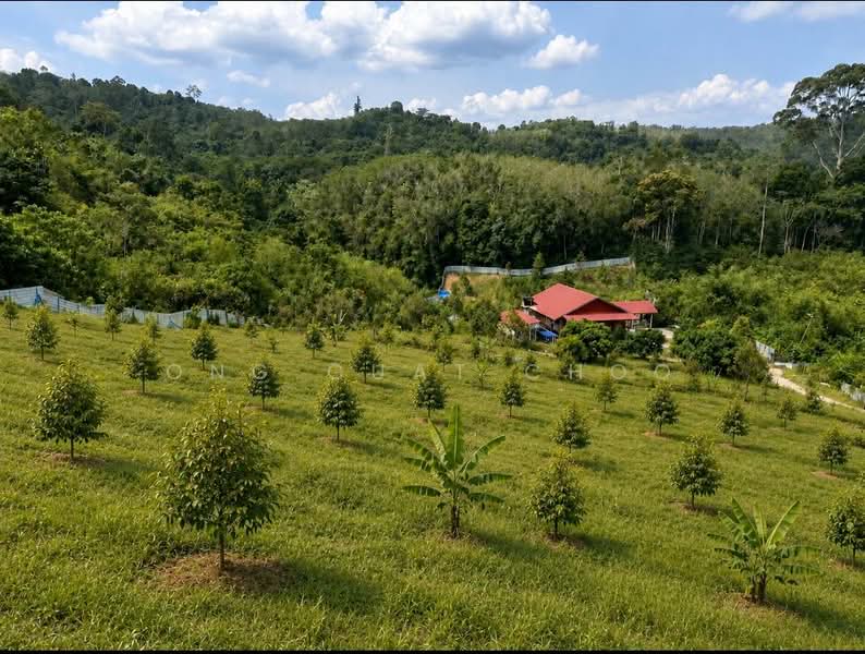 Tanah Pertanian untuk Dijual di Raub (Pahang) - Ong Guat Choo - Exterior - PropertyGuru.com.my