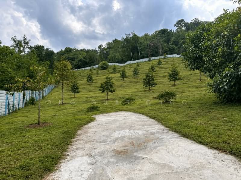 Tanah Pertanian untuk Dijual di Raub (Pahang) - Ong Guat Choo - Exterior - PropertyGuru.com.my