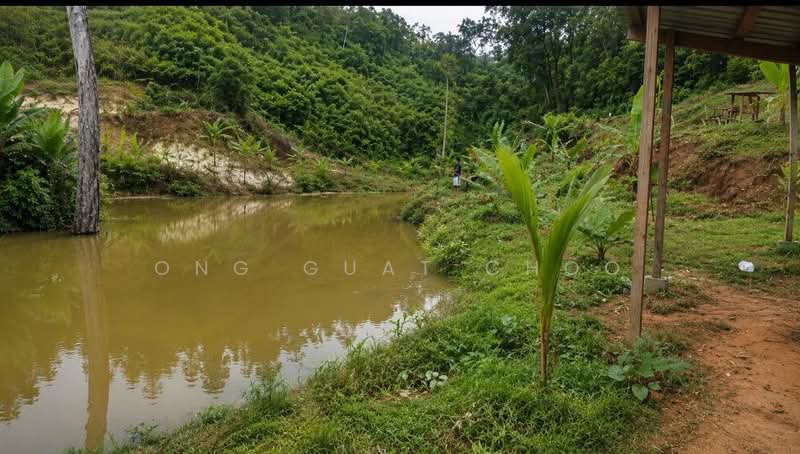 Tanah Pertanian untuk Dijual di Raub (Pahang) - Ong Guat Choo - Exterior - PropertyGuru.com.my