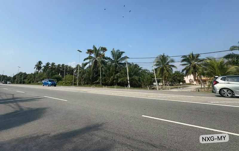 Agricultural Land for Sale in Assam Jawa (Kuala Selangor) - Yap Chew Ying - PropertyGuru.com.my