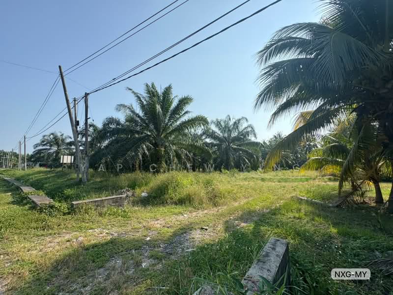 Agricultural Land for Sale in Assam Jawa (Kuala Selangor) - Yap Chew Ying - PropertyGuru.com.my