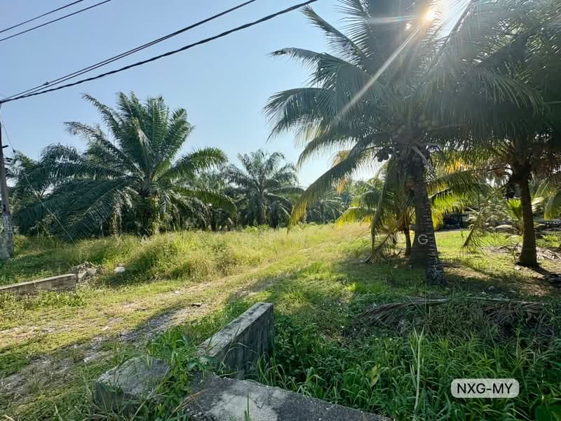 Agricultural Land for Sale in Assam Jawa (Kuala Selangor) - Yap Chew Ying - PropertyGuru.com.my