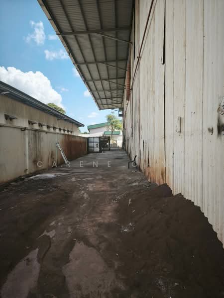 Detached Factory for Rent in Banting (Banting) - Carene Chng - PropertyGuru.com.my