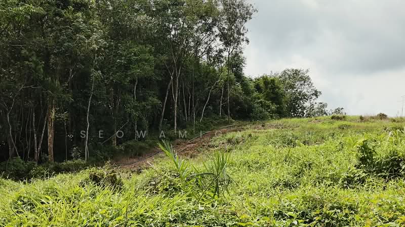 Agricultural Land for Sale in Kota Tinggi (Johor) - Seowamiga Ten - Garden - PropertyGuru.com.my