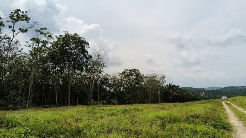 Agricultural Land for Sale in Kota Tinggi (Johor) - Seowamiga Ten - Exterior - PropertyGuru.com.my