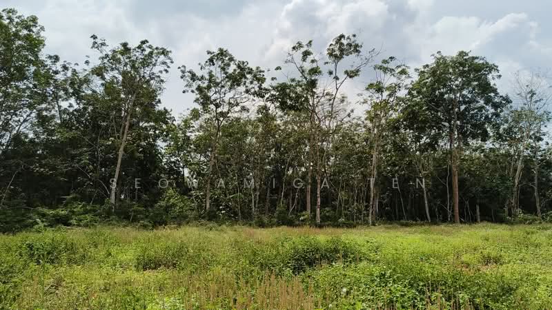 Agricultural Land for Sale in Kota Tinggi (Johor) - Seowamiga Ten - Exterior - PropertyGuru.com.my