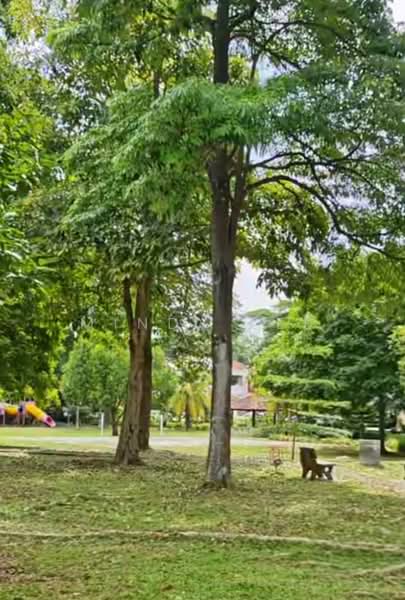 Rumah Teres 2 Tingkat untuk Dijual di Taman Pelangi Indah (Ulu Tiram) - Mindy Lee - Garden - PropertyGuru.com.my