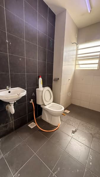 Rumah Teres 2 Tingkat untuk Disewa di Taman Belibis (Simpang Ampat) - Jane Ng - Bathroom - PropertyGuru.com.my