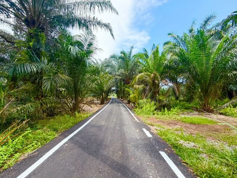 Tanah Pertanian untuk Dijual di Pontian (Johor) - Patrick Lim - PropertyGuru.com.my