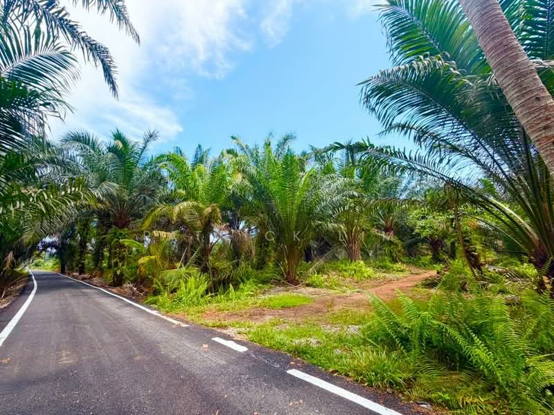 Tanah Pertanian untuk Dijual di Pontian (Johor) - Patrick Lim - PropertyGuru.com.my