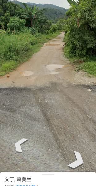 Tanah Pertanian untuk Dijual di Pajam (Negeri Sembilan) - Teammy Lee - PropertyGuru.com.my