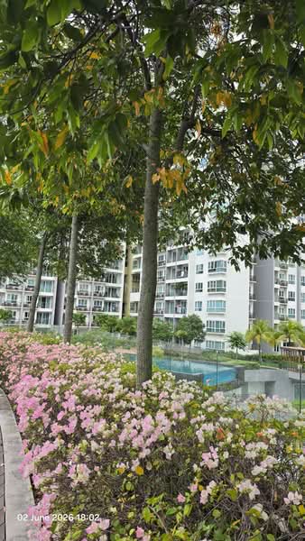Condominium for Rent at Tropicana Bay Residences - Ann Kee - PropertyGuru.com.my