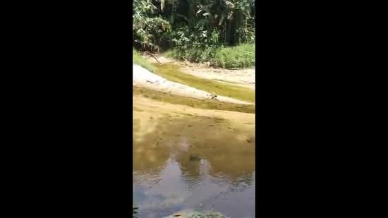 Agricultural Land for Sale in Slim River (Perak) - Sue Ahmad - PropertyGuru.com.my
