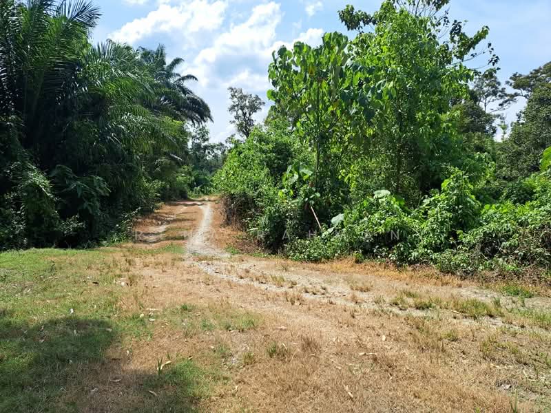 Tanah Pertanian untuk Dijual di Mantin (Negeri Sembilan) - Rena Rahman - Exterior - PropertyGuru.com.my
