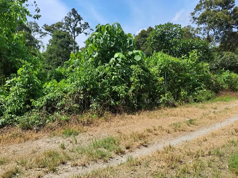 Tanah Pertanian untuk Dijual di Mantin (Negeri Sembilan) - Rena Rahman - Exterior - PropertyGuru.com.my