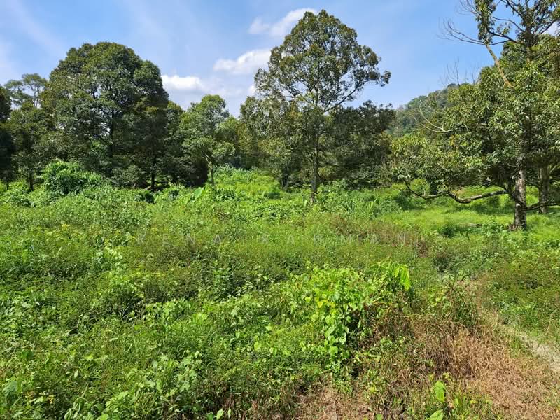 Tanah Pertanian untuk Dijual di Mantin (Negeri Sembilan) - Rena Rahman - Garden - PropertyGuru.com.my