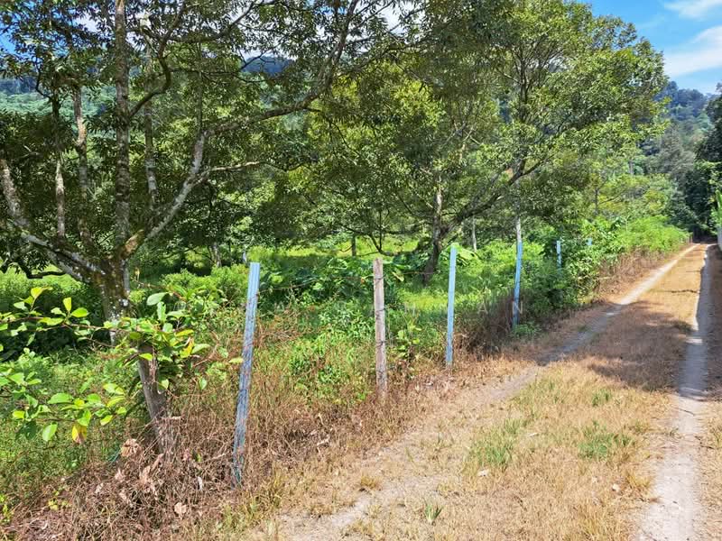Tanah Pertanian untuk Dijual di Mantin (Negeri Sembilan) - Rena Rahman - Exterior - PropertyGuru.com.my