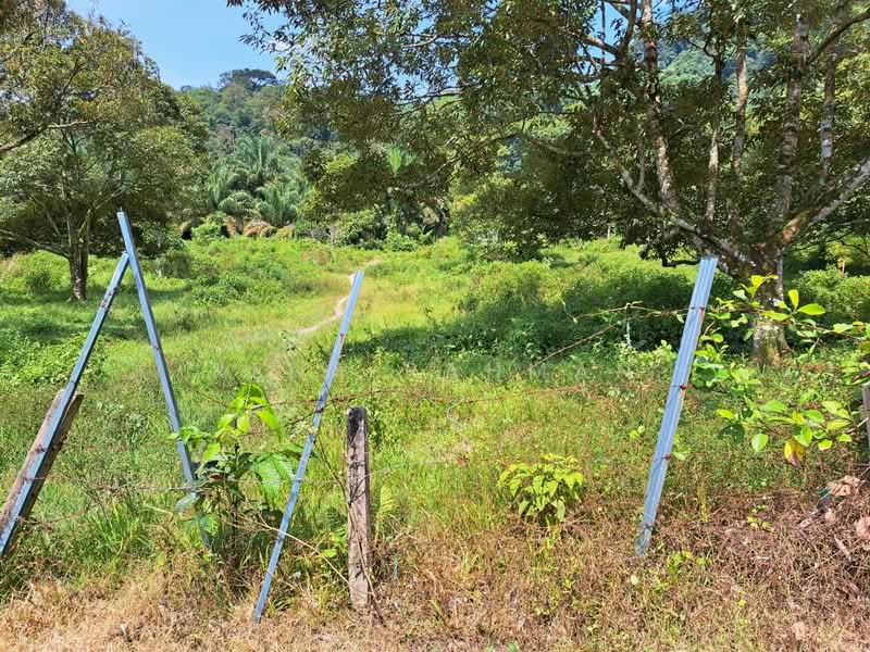 Tanah Pertanian untuk Dijual di Mantin (Negeri Sembilan) - Rena Rahman - Exterior - PropertyGuru.com.my