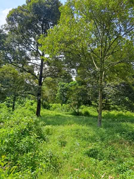 Tanah Pertanian untuk Dijual di Mantin (Negeri Sembilan) - Rena Rahman - Garden - PropertyGuru.com.my