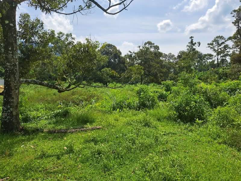 Tanah Pertanian untuk Dijual di Mantin (Negeri Sembilan) - Rena Rahman - Garden - PropertyGuru.com.my