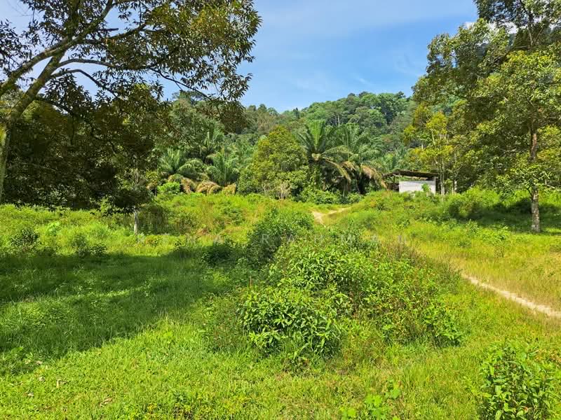 Tanah Pertanian untuk Dijual di Mantin (Negeri Sembilan) - Rena Rahman - Exterior - PropertyGuru.com.my