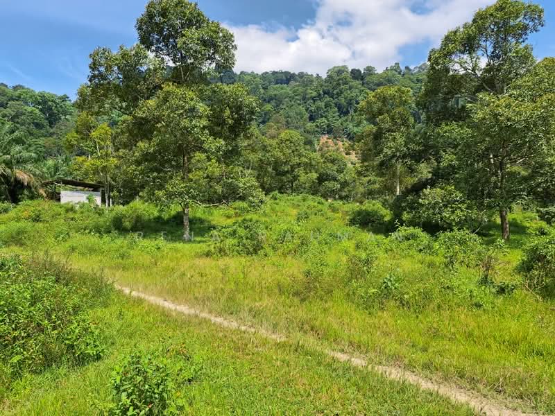 Tanah Pertanian untuk Dijual di Mantin (Negeri Sembilan) - Rena Rahman - Exterior - PropertyGuru.com.my
