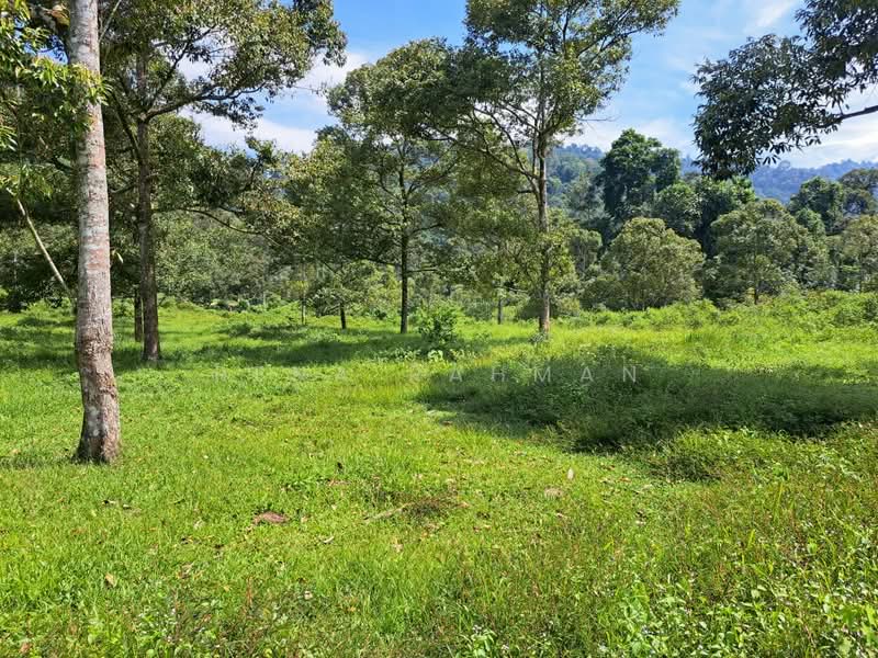 Tanah Pertanian untuk Dijual di Mantin (Negeri Sembilan) - Rena Rahman - PropertyGuru.com.my