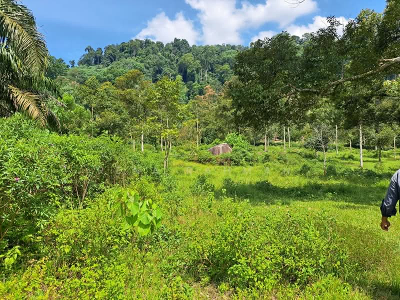 Tanah Pertanian untuk Dijual di Mantin (Negeri Sembilan) - Rena Rahman - PropertyGuru.com.my