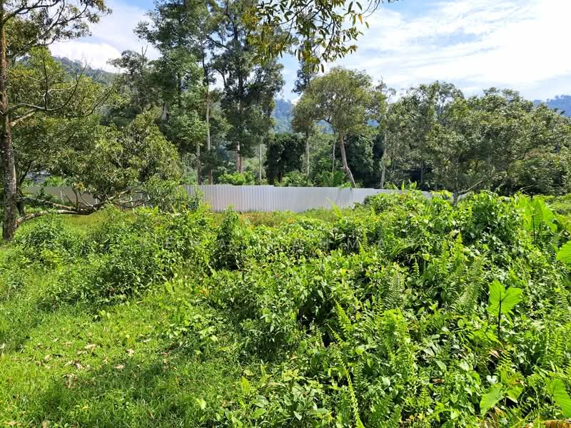 Tanah Pertanian untuk Dijual di Mantin (Negeri Sembilan) - Rena Rahman - PropertyGuru.com.my