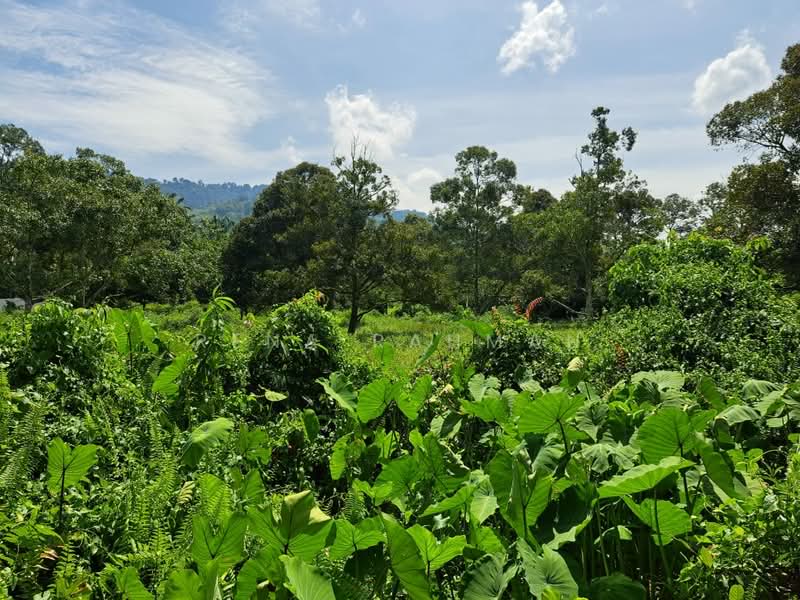 Tanah Pertanian untuk Dijual di Mantin (Negeri Sembilan) - Rena Rahman - PropertyGuru.com.my