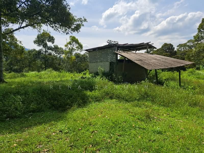 Tanah Pertanian untuk Dijual di Mantin (Negeri Sembilan) - Rena Rahman - PropertyGuru.com.my