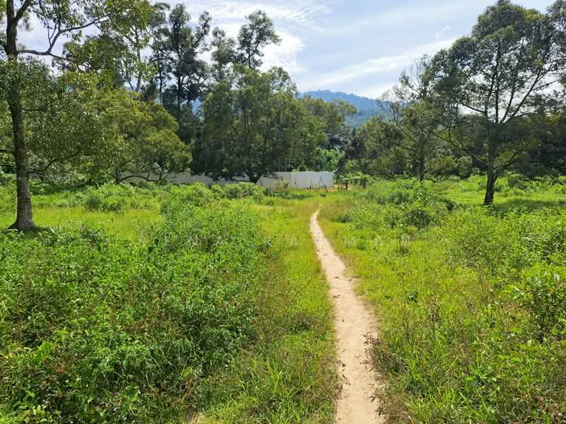 Tanah Pertanian untuk Dijual di Mantin (Negeri Sembilan) - Rena Rahman - PropertyGuru.com.my