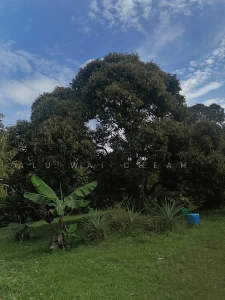 Agricultural Land for Sale in Linggi (Negeri Sembilan) - Lu Wai Cheah - PropertyGuru.com.my