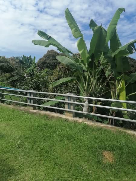 Agricultural Land for Sale in Linggi (Negeri Sembilan) - Lu Wai Cheah - PropertyGuru.com.my