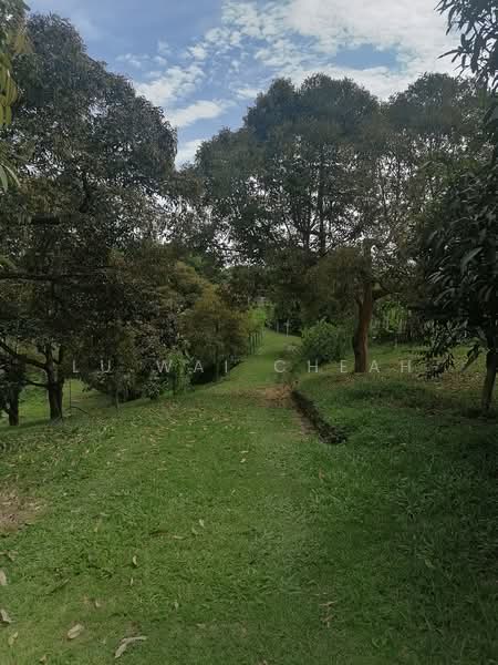 Agricultural Land for Sale in Linggi (Negeri Sembilan) - Lu Wai Cheah - PropertyGuru.com.my