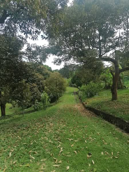 Agricultural Land for Sale in Linggi (Negeri Sembilan) - Lu Wai Cheah - PropertyGuru.com.my
